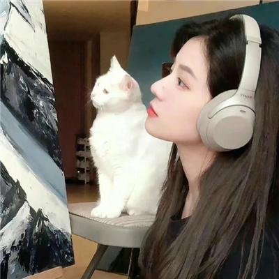 杀无尽