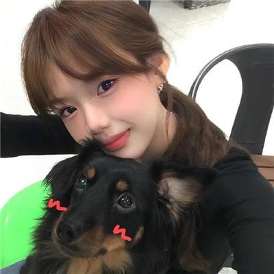 德州英豪